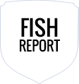 Fish Report