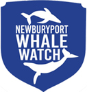 Newburyport Whale Watch